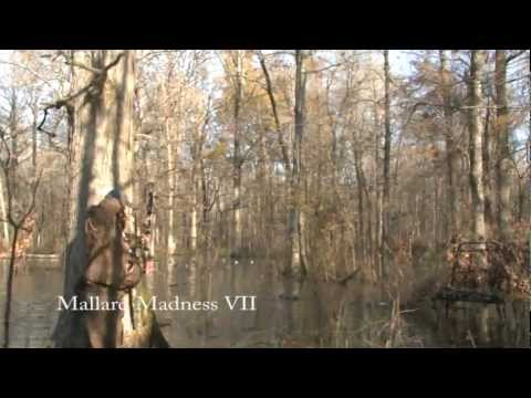 The REAL DEAL - Echo Calls Mallard Madness VII -  The Good Stuff