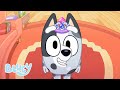 The Most Special Library Bluey