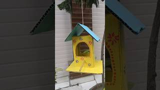 DIY bird feeder