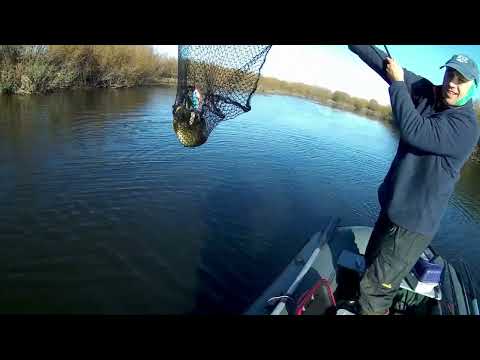 Aiviekste! Ko lai saka jaunatne liek kloķi Vecajiem.