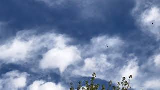 Oh what a beautiful morning!