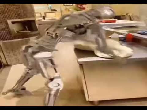 Terminator Kneading Dough (meme)