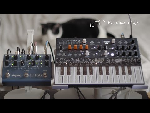 Arturia MicroFreak v.40 Firmware + Strymon NightSky: Wavetable Synth Pads