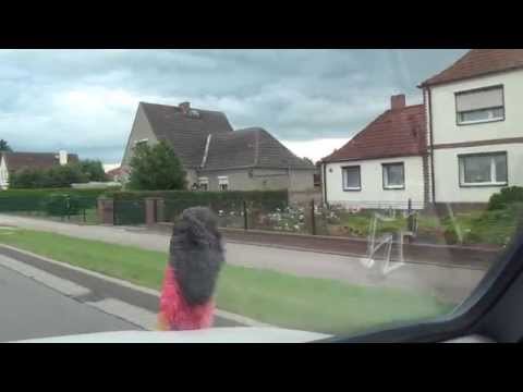 Ducherow Vorpommern Greifswald 11.7.2013