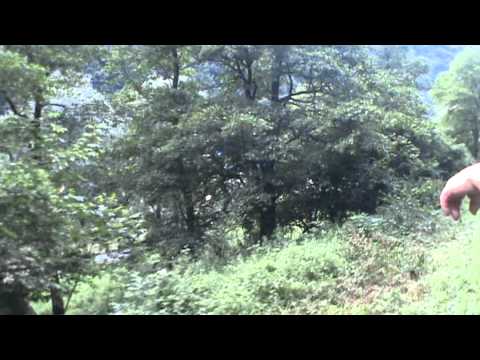 Excursie Feroviara Sibiu - Rimnicu Vilcea - Sibiu Partea 14 (Intre Riul Vadului si Valea Marului Hm)