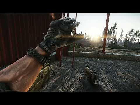 Tarkov: Early Wipe Shturman vs. 45. ACP