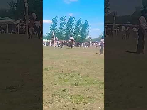 47° fiesta de la tradición buena esperanza San Luis