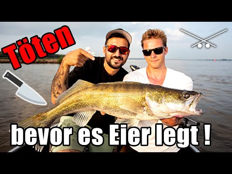☠️ „Töte es bevor es Eier legt!“ - Krasser Spot für Zander🔥 Angeln bei Hochwasser
