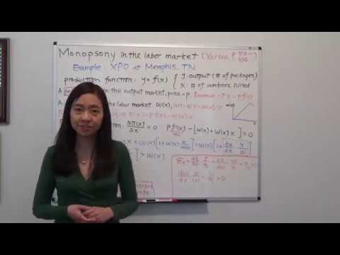 Monopsony in the Labor Market (Varian Ch27 "Factor Market," Appendix)