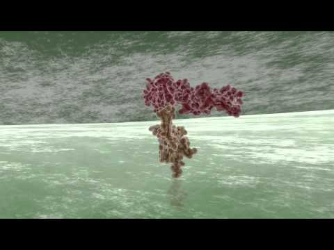 Shewanella oneidensis: Mtr Metal Reduction Pathway