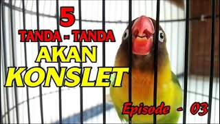 Download lagu TANDA TANDA LOVEBIRD AKAN KONSLET - EPISODE 03 mp3 Download lagu TANDA TANDA LOVEBIRD AKAN KONSLET - EPISODE 03 mp3