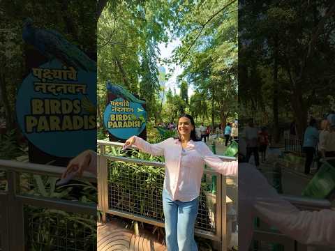 I saw penguins in Mumbai 😍
