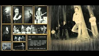 THE GATE  -  High Sensitive