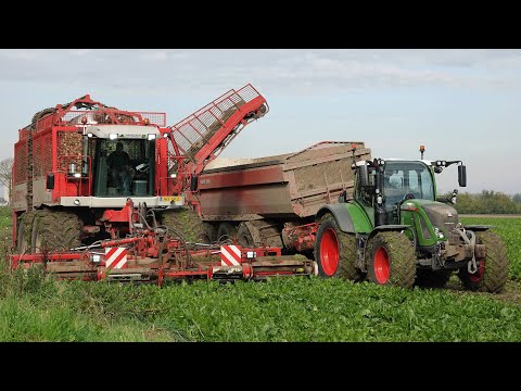 XXL Beet Harvest | 12 row beet harvester | Agrifac Hexa 12 row | Fendt 728 + 2x Fendt 724 | Paridaen