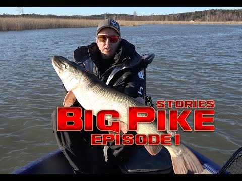 BIG PIKE "Stories" ( Gädda, Hecht, Hauki, štuka )