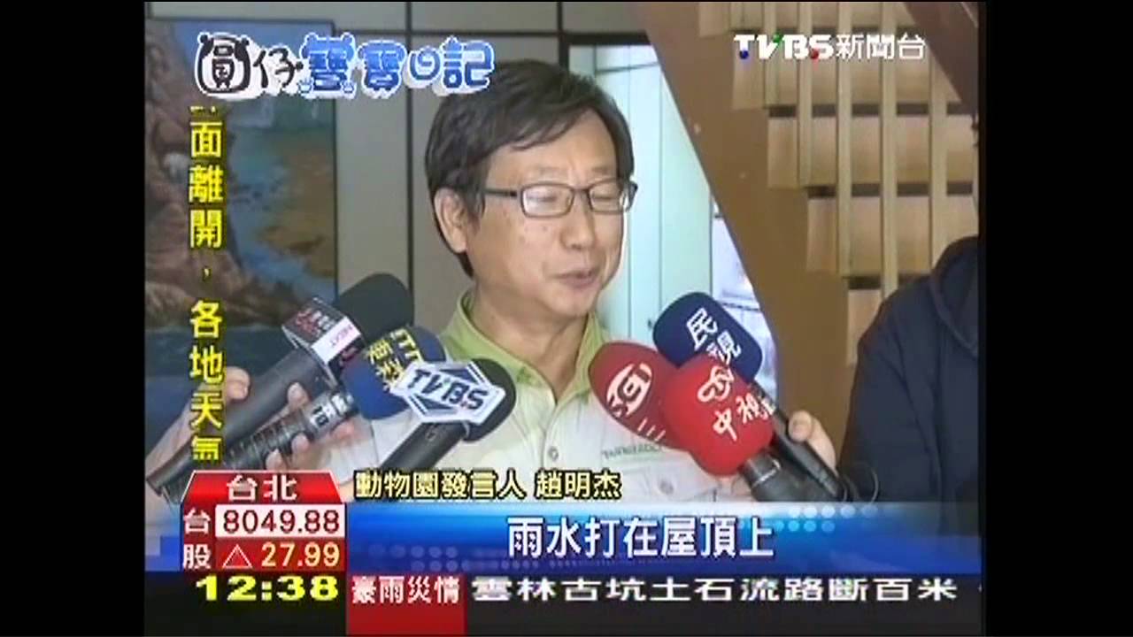 憂暴雨聲驚動圓仔 圓圓叼女搬家