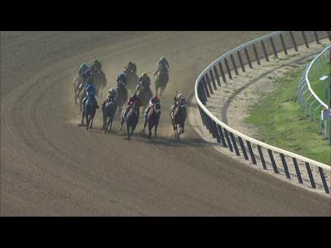 Celtic Chaos - 2017 Affirmed Success