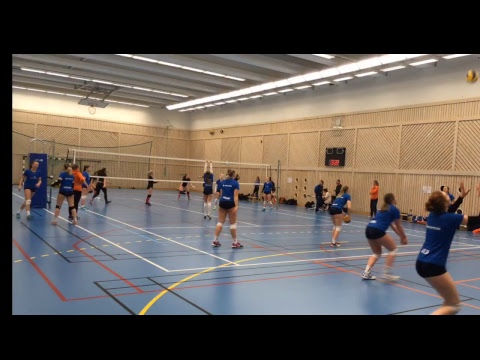 Div 1 Linde - Stockholms vingar