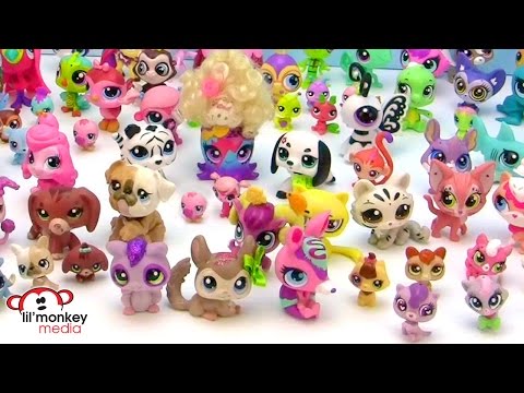 LPS Collection Tour - Fan Video!