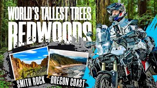 World's Tallest Trees in Redwoods and Last BlockBuster Remaining | EP 12