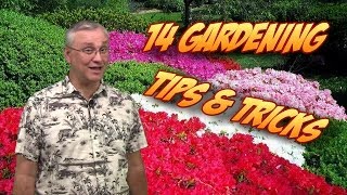 14 Gardening Tips, Tricks, & Ideas