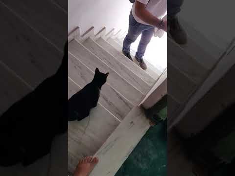 Lucy love her brother