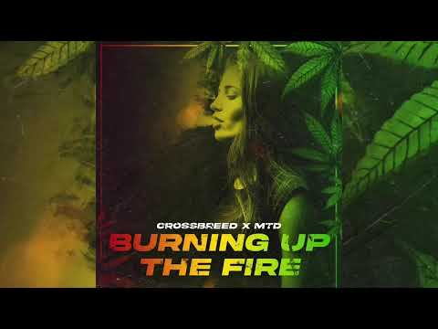 CrossBreed X MTD - Burning Up The Fire (Amsterdam)