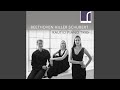 Piano Trio in D Major, Op. 70 No. 1 "Ghost": III. Presto
