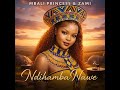 Ndihamba Nawe Ft Mbali Princess Zami Thatohatsi Mafikizolo Cover Amapiano 2026 Best Amapiano