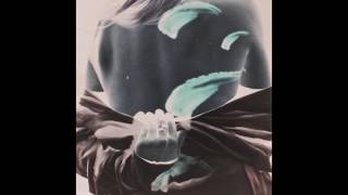 TOTEM - Shadows [Official Audio]