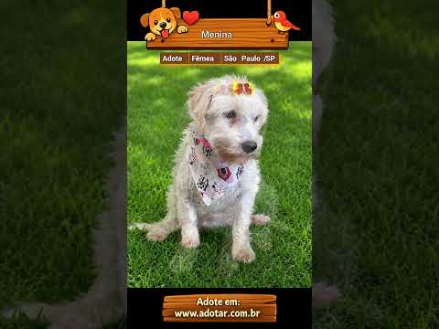 Vídeo de Menina