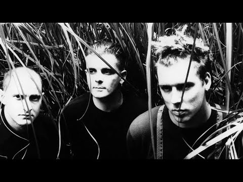 The Wolfgang Press - I Am The Crime