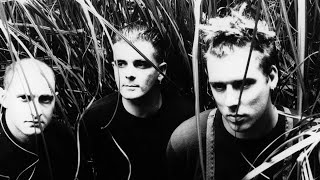 The Wolfgang Press - I Am The Crime