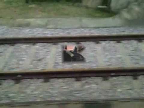 Ivan Vratarić FEBO - Ja sretnik nisam bio.mp4