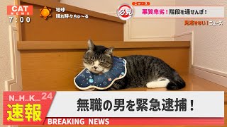 【ニュース】無職の男を緊急逮捕