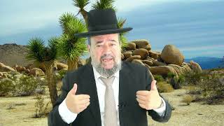 מי מריבה – חוקת – הרב דוד הכהן מרא דאתרא גן יבנה