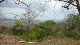 preview picture of video 'CERRO LA CRUZ, CAMPANA, PANAMA'