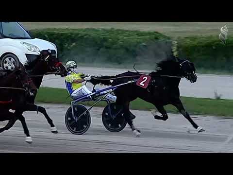 Aversa trotto 27 Maggio 2023 - 12Corsa