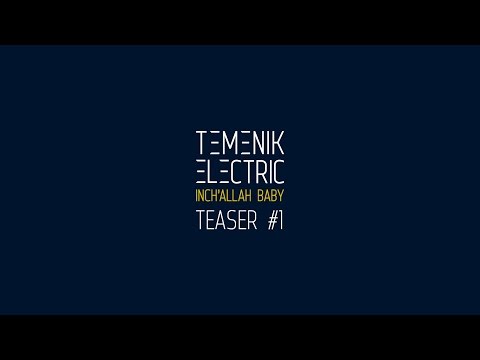 Temenik Electric