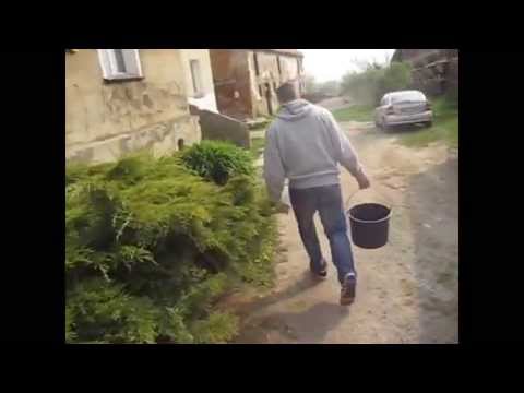 Pobudka Macieja