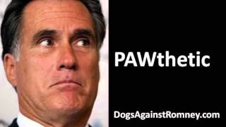 Devo Founder Teams Up with Dogs Against Romney to Release Single for Seamus the Dog