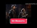 Gin Blossoms - Memphis Time - Saturday Night Live 23/03/1996 (audio)