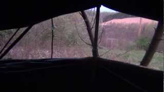 Davids Youth Spring Turkey Hunt 2012 - Shirt Tail Chronicles