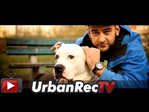 miloMailo feat. Jot, Dj Really - Projekt (prod. Grand Papa Dziad) [Official Video]