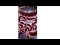 Doctor Natalie S 10 Second Poop Method Natalie Brooks 10 Second Method Doctor Brooks Method