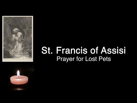 Prayer for Lost Pets - St. Francis of Assisi