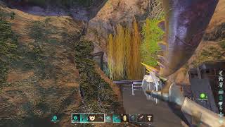 Ark