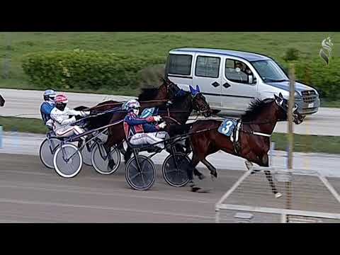 Aversa trotto 24 Marzo 2021 - 4° Corsa