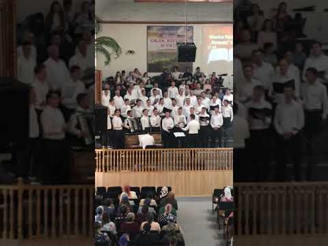 Corul din Vicov de jos