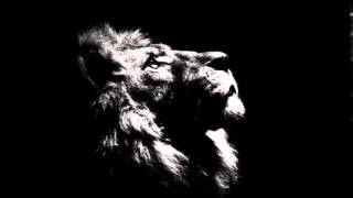 Lord Ekomy Ndong - Où Sont Les Lions?
